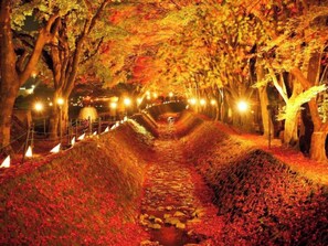 Sèche-cheveux, serviettes fournies