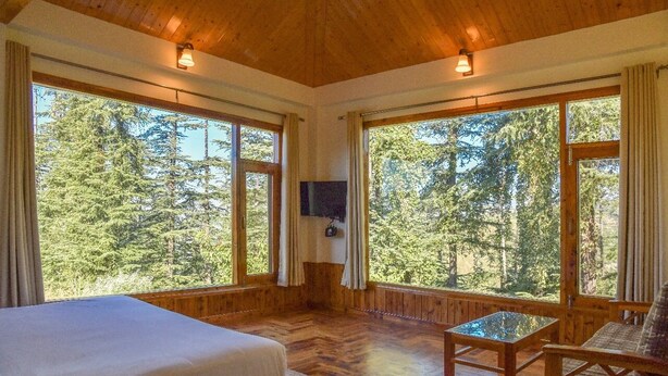 A room with a bed, a table, and a TV, with large windows offering a forest view.