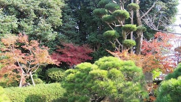 Overnattingsstedets uteområder