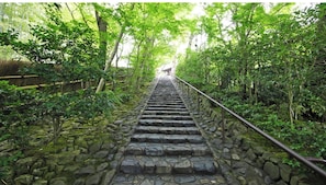 Eine steinerne Treppe, umgeben von üppigem Grün, die zu einer höheren Lage hinaufführt.