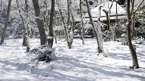 Schneebedeckte Landschaft mit Bäumen und einem Gebäude im Hintergrund.