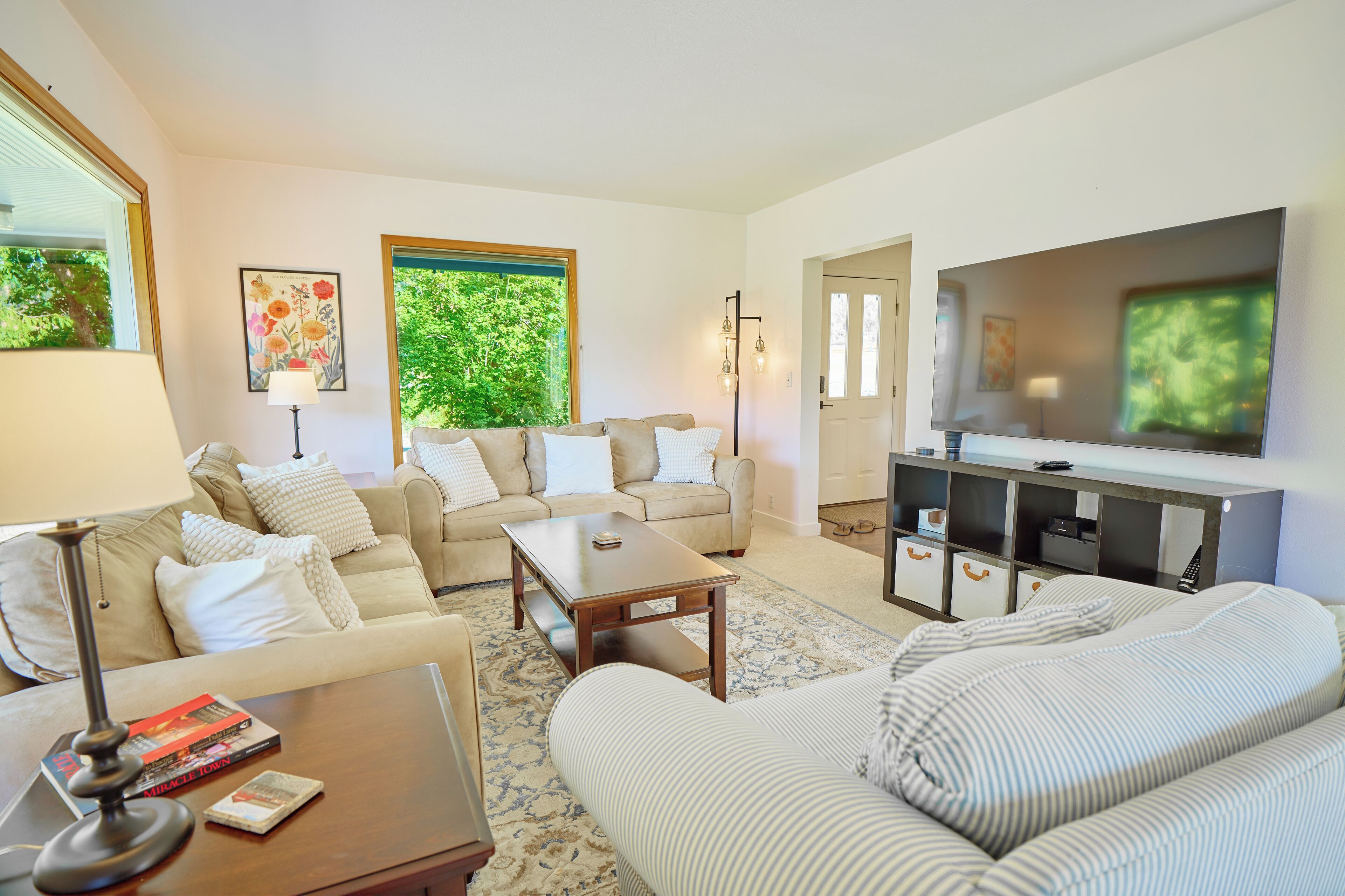 Smart TV, fireplace, books