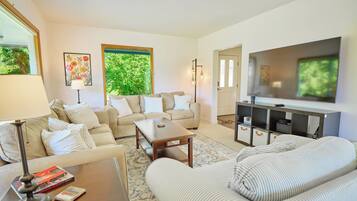 Smart TV, fireplace, books