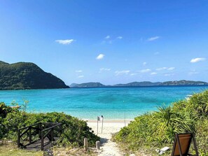 A beach with a wooden walkway leading to the shore, surrounded by greenery and clear blue waters.