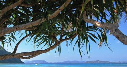 New building ocean view Japanese style room 12 tatami mats with unit bath Dinner and breakfast / Shimajiri-gun Okinawa