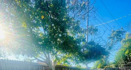 Charming 3-bedroom house with AC and WiFi in pleasant Sacramento