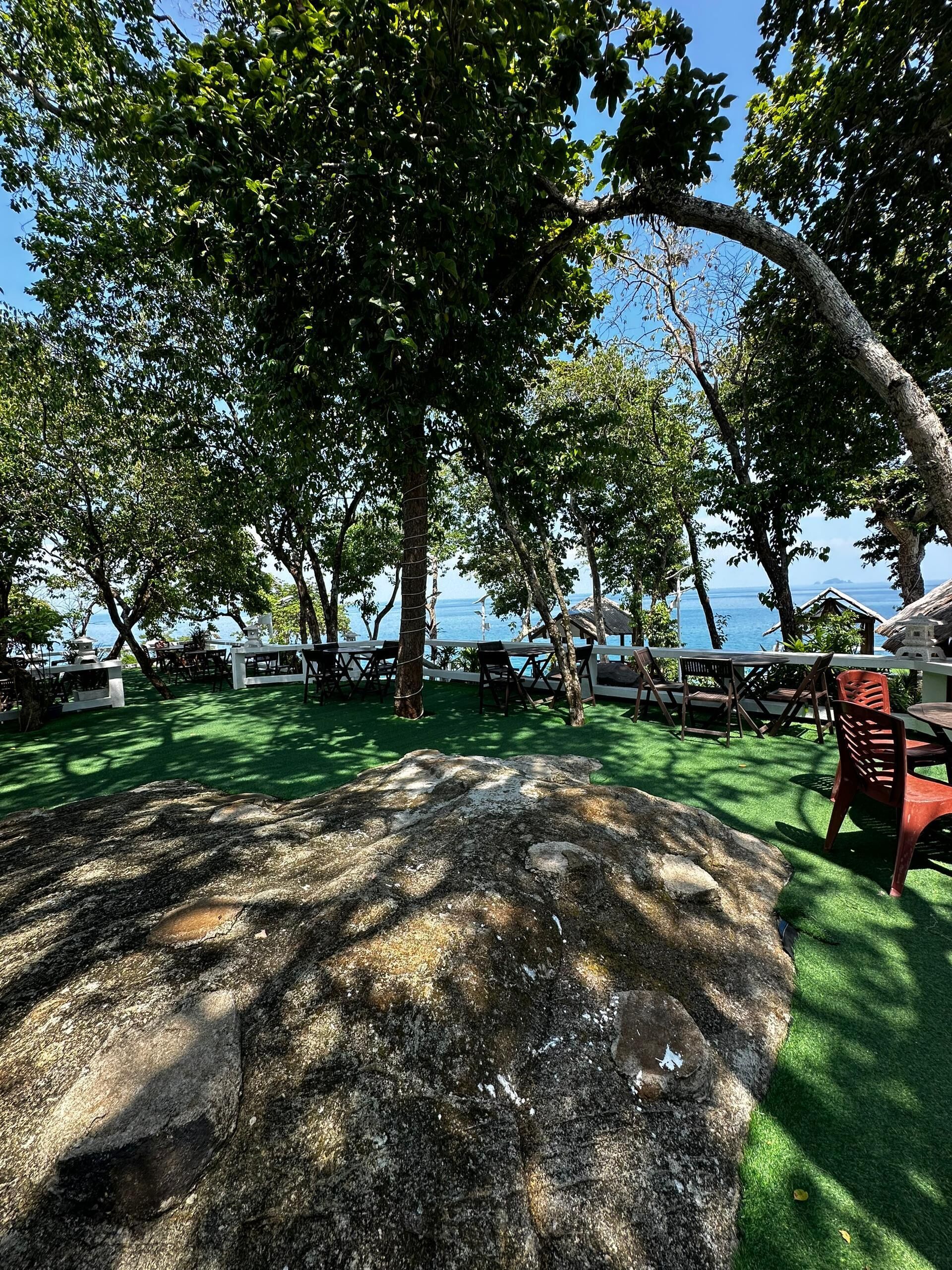 Un espace extérieur aménagé avec des tables et des chaises, entouré d’arbres et offrant une vue sur la mer.
