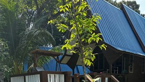 A pool area with a wooden bridge, a thatched roof structure, and a house with a blue roof. - shari-la Perhentian Island Resort (Pulau Perhentian Kecil)