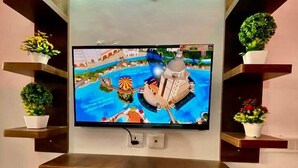 Un televisor de pantalla plana montado en la pared, con estantes de madera a cada lado, cada uno con una planta en maceta.