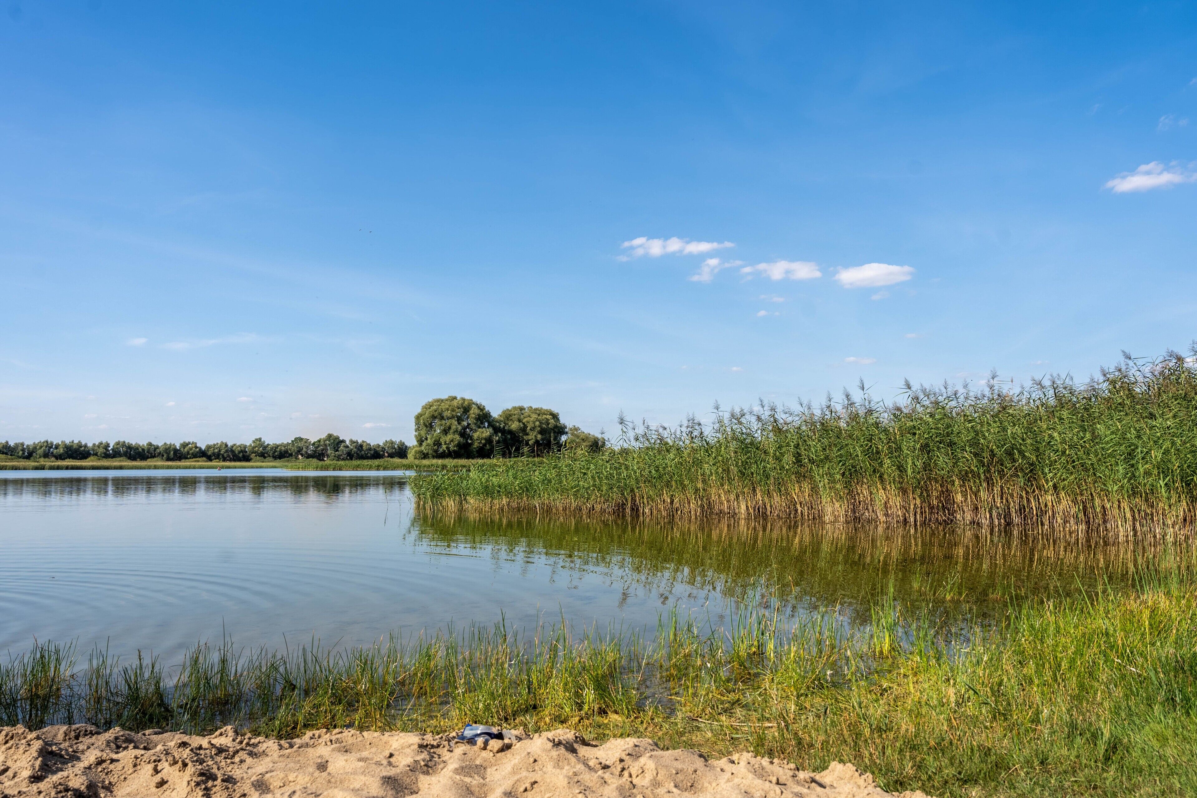 A calm lake with a sandy shore, surrounded by dense vegetation and trees in the background.