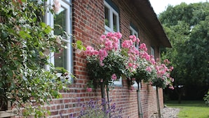 A brick building with a garden in front.