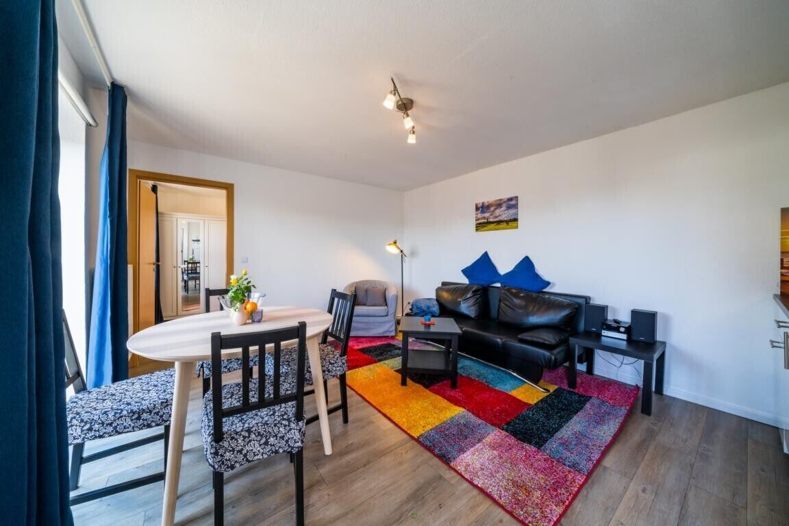 A living room with a sofa, a coffee table, a dining table with chairs, a colorful rug, and a ceiling light fixture.