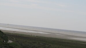 Ein Strand mit einer Rasenfläche und Blick auf den Ozean.