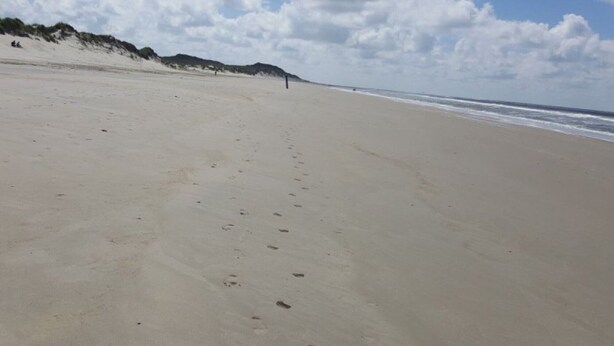 A wide sandy beach with footprints leading to the water, a clear sky, and dunes in the background. - Apartment 'Olde Toornblick' with Balcony and Wi-Fi (Borkum)