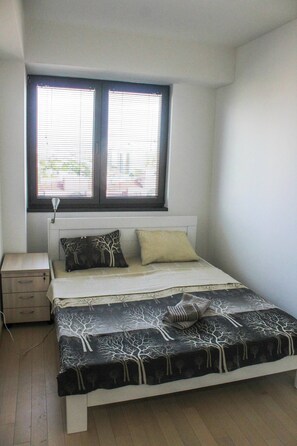 3 bedrooms, desk, iron/ironing board, WiFi - Spacious 3-bedroom apartment with 2xAC, WiFi in superb Skopje (Skopje)