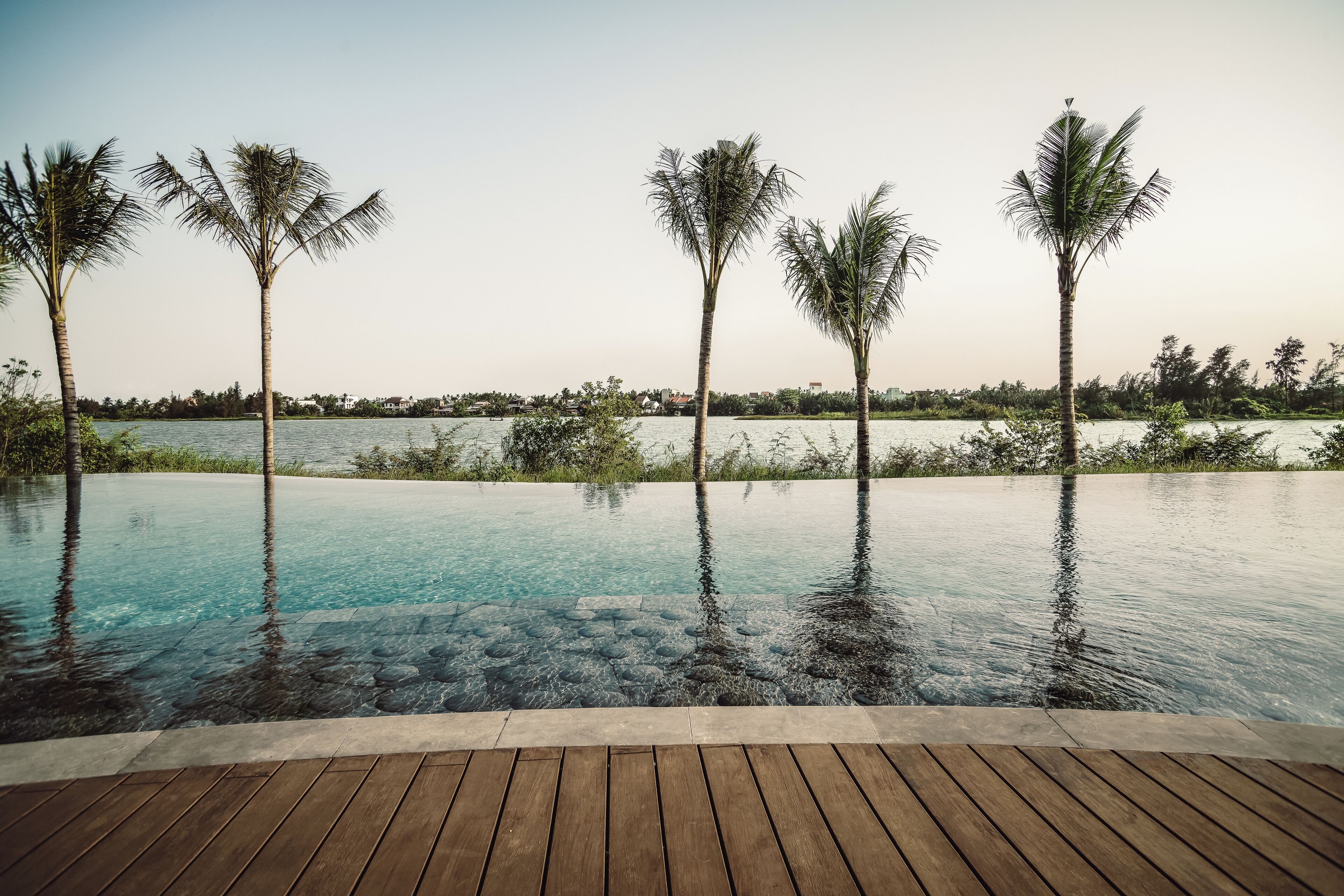 Una piscina infinita con terraza de madera, rodeada de palmeras y vistas a un cuerpo de agua.