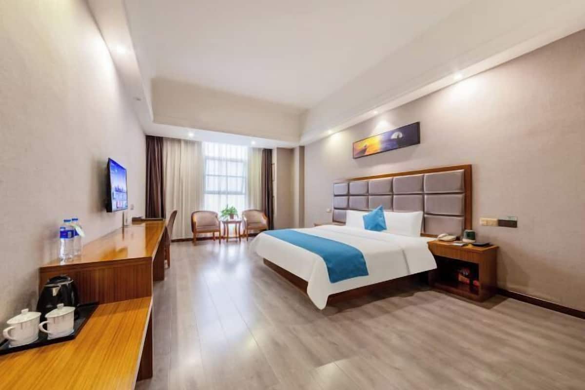 Una habitación de hotel con una cama, un escritorio con una silla, un televisor y una pequeña mesa con una planta.
