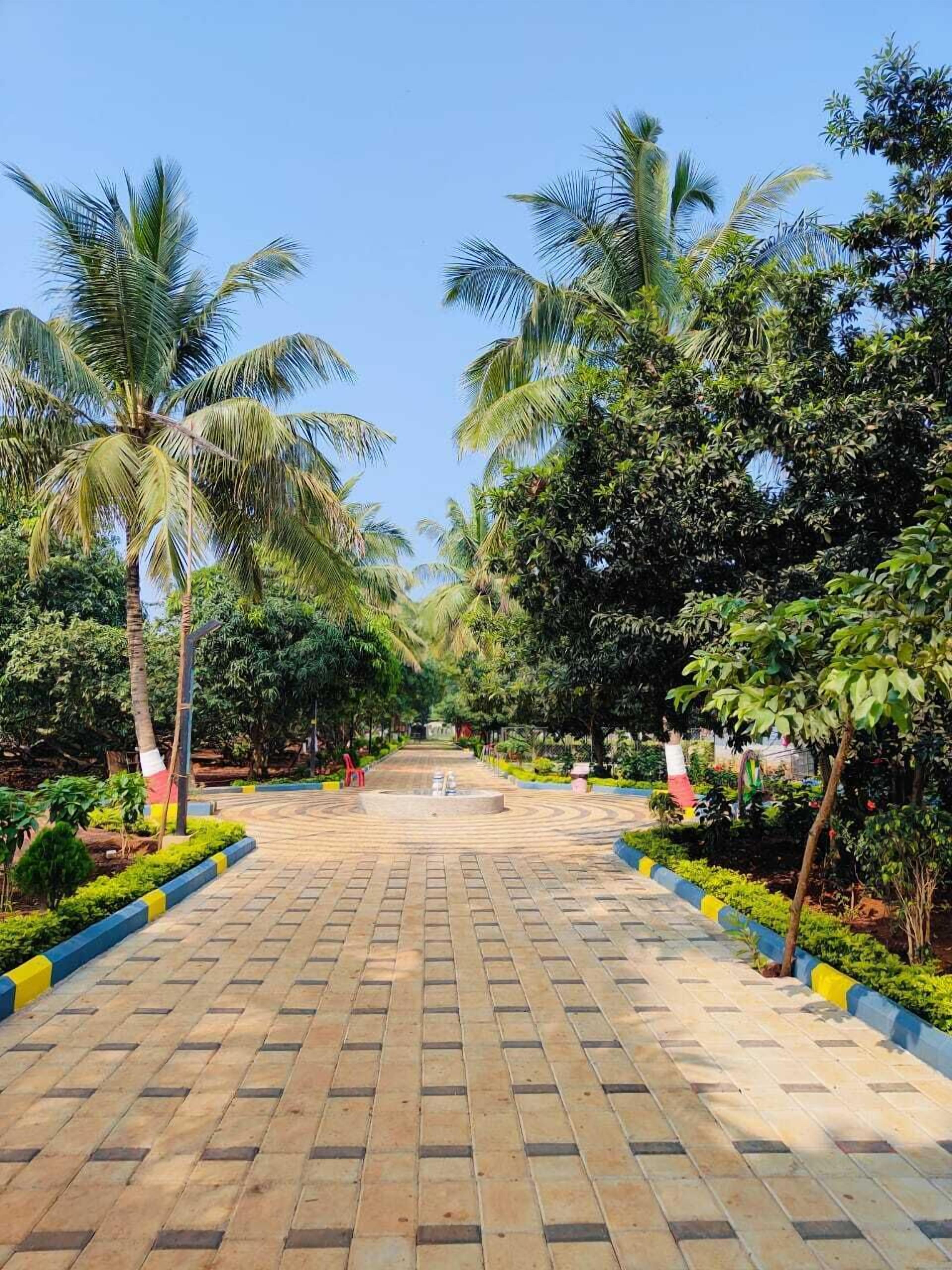 A paved pathway lined with palm trees and greenery, leading to a central fountain.