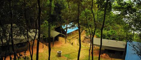 A campsite with multiple tents and a vehicle.