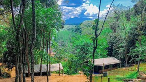 A campsite with tents and a small structure, surrounded by dense forest and a mountainous backdrop. - Belihuloya Adventure Camp (Rathnapura)