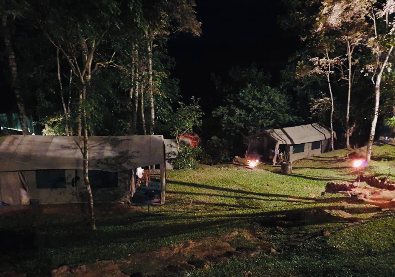 Un terrain de camping avec des tentes et une petite construction, le tout entouré d’arbres.