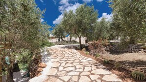 A stone pathway leading through a garden with olive trees and cacti.