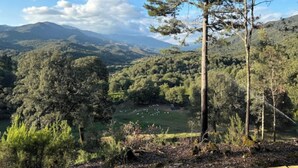 A mountainous landscape with dense forests and a clear sky.
