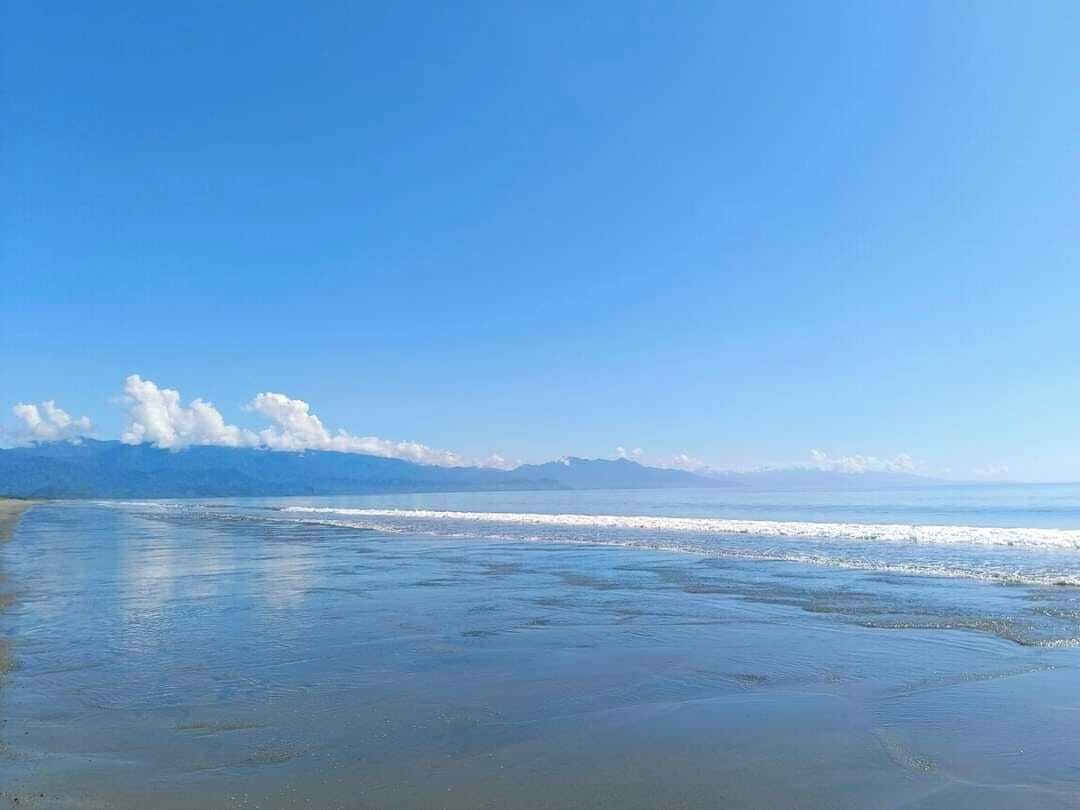 Pemandangan dari properti