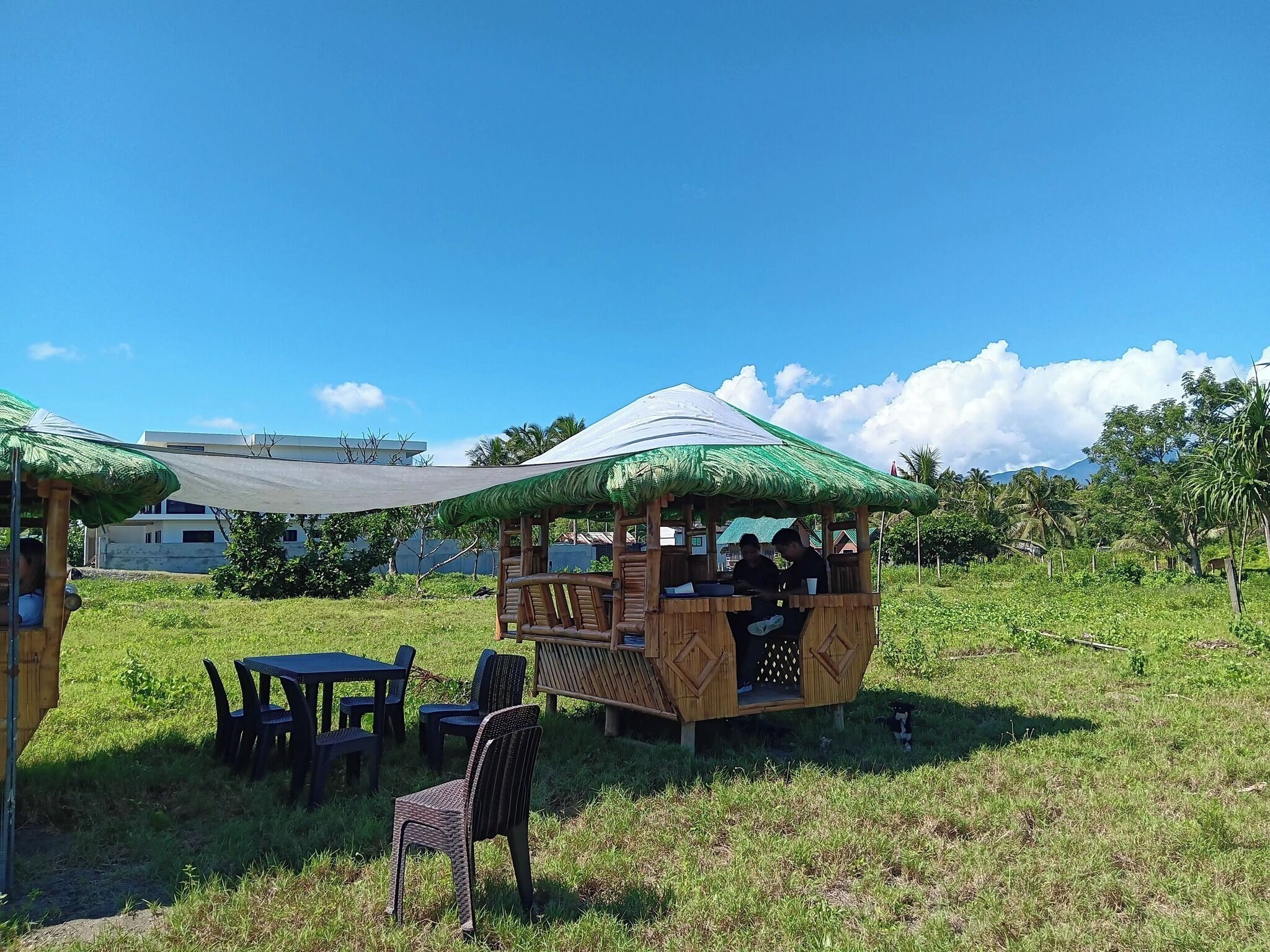 A wooden structure with a thatched roof, surrounded by outdoor seating and a grassy field.
