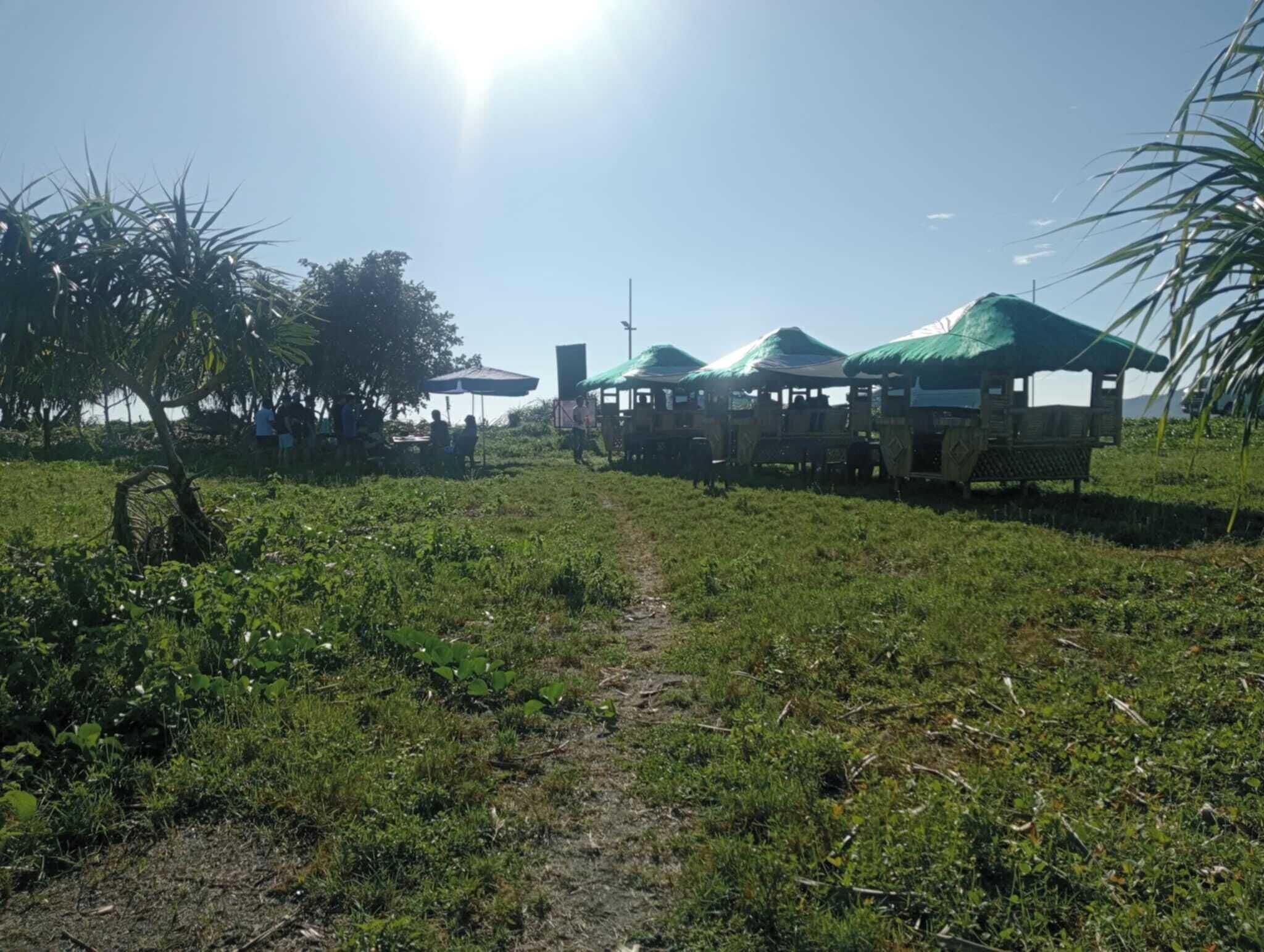 A rural setting with a dirt path leading to a row of simple, open-sided structures with green roofs, surrounded by greenery and palm trees.