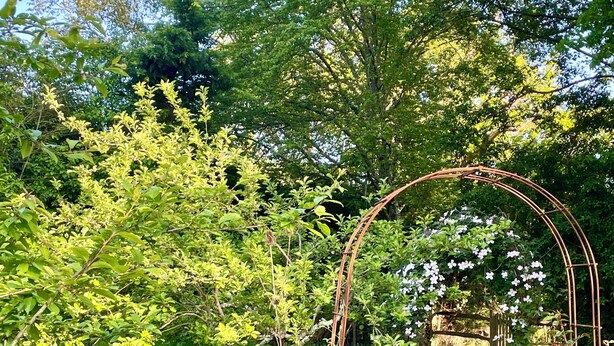 A garden with a metal archway, various flowering plants, and a grassy area. - Hop at Tipsy Cottages: a romantic rural retreat (Robertsbridge)