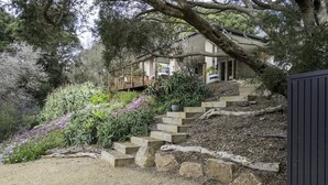 Ein Haus mit einer Holztreppe, die zu einer Terrasse führt, umgeben von üppiger Vegetation und blühenden Pflanzen.