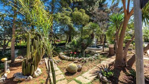 A garden with cacti, palm trees, and a stone pathway. - 3834 Villa La Bianca Ostuni by Barbarhouse (Carovigno)