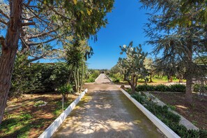 Property grounds - 3834 Villa La Bianca Ostuni by Barbarhouse (Carovigno)