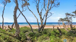 A beach with trees and a clear view of the ocean. - Shellies on the Beach Little House - 2BR Absolute Beachfront with Outdoor Bath (Sawtell)