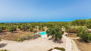 A landscaped property with a swimming pool, pathways, and trees. - 4099 Villa Maste by Barbarhouse (Carovigno)