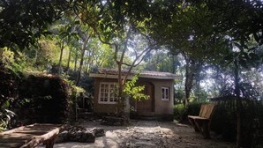 A rustic wooden house surrounded by dense foliage, with a bench and a small table nearby.