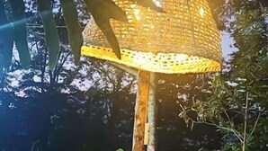 A decorative lamp post with a woven shade, surrounded by rocks and plants.