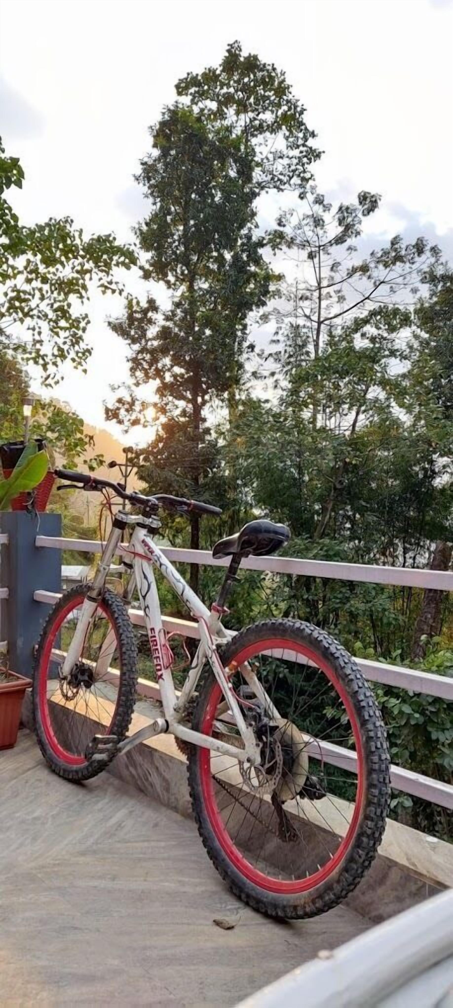 Una bicicleta de montaña estacionada en un balcón con baranda, rodeada de follaje y árboles.