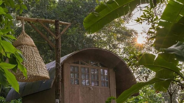 A rustic wooden house with a curved roof, large windows, and a hanging basket.