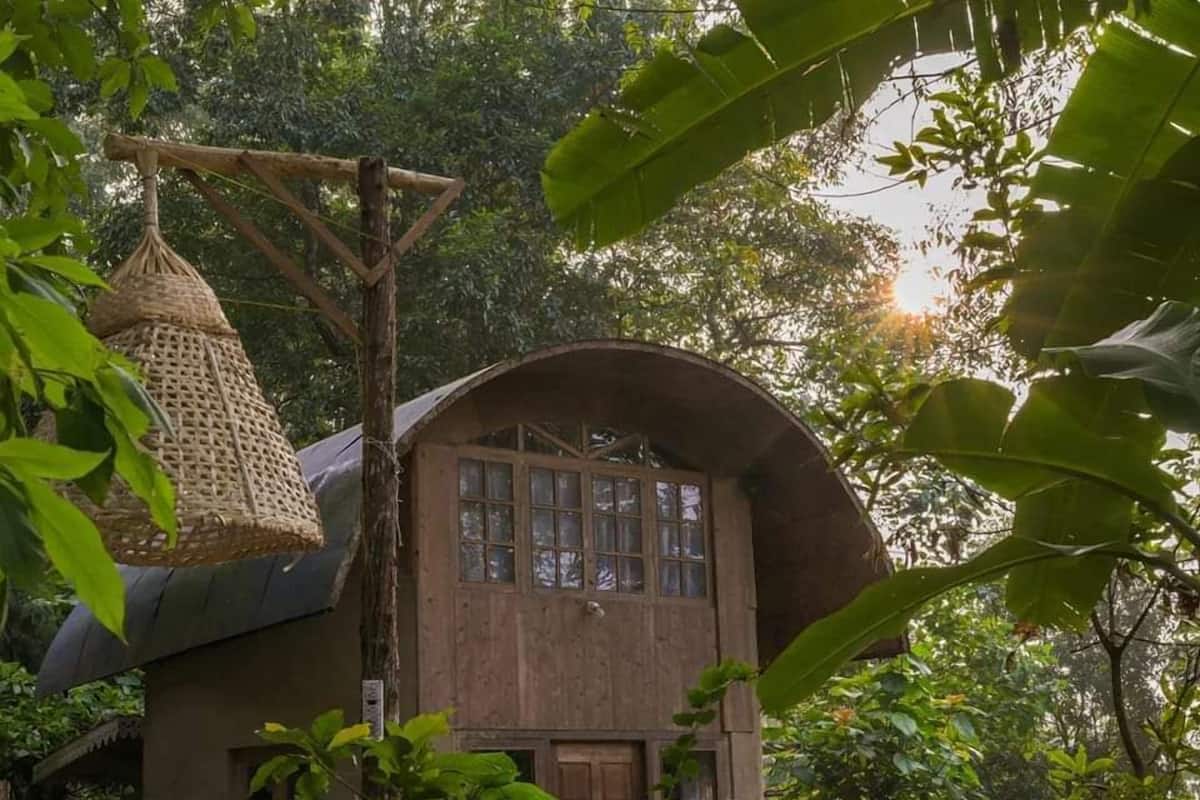 A rustic wooden house with a curved roof, large windows, and a hanging basket.