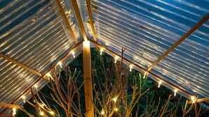 Uma estrutura externa com teto transparente e vigas de madeira, decorada com luzes de Natal.