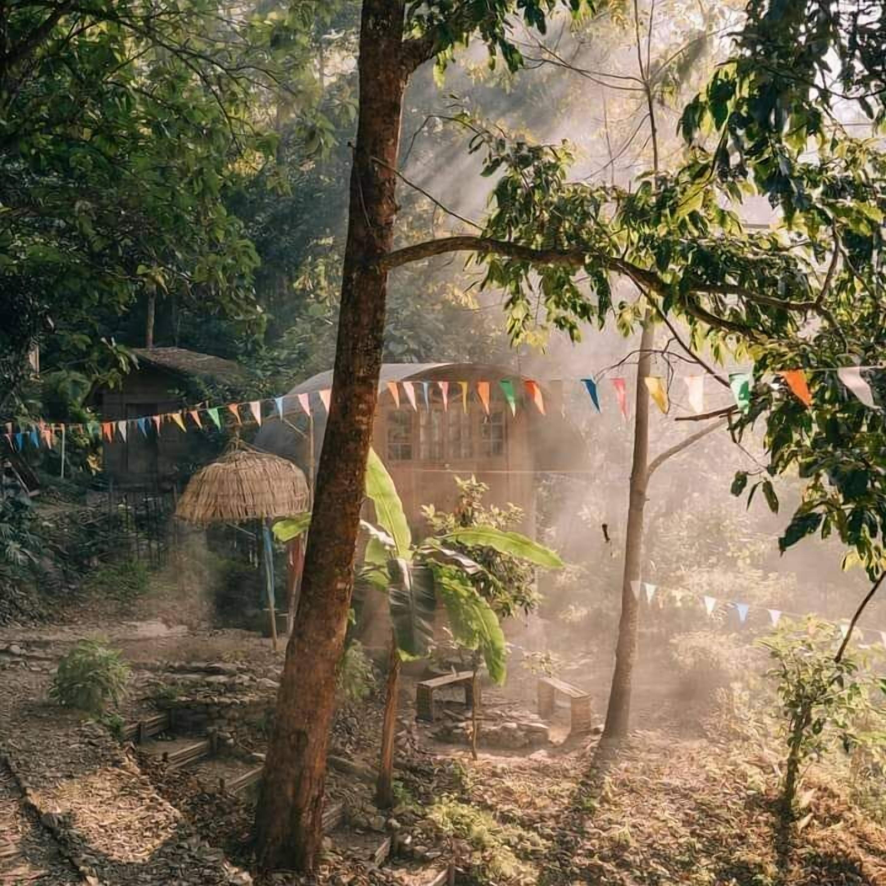 Entorno rústico al aire libre con una construcción de techo de paja, rodeada de árboles y un sendero de tierra.