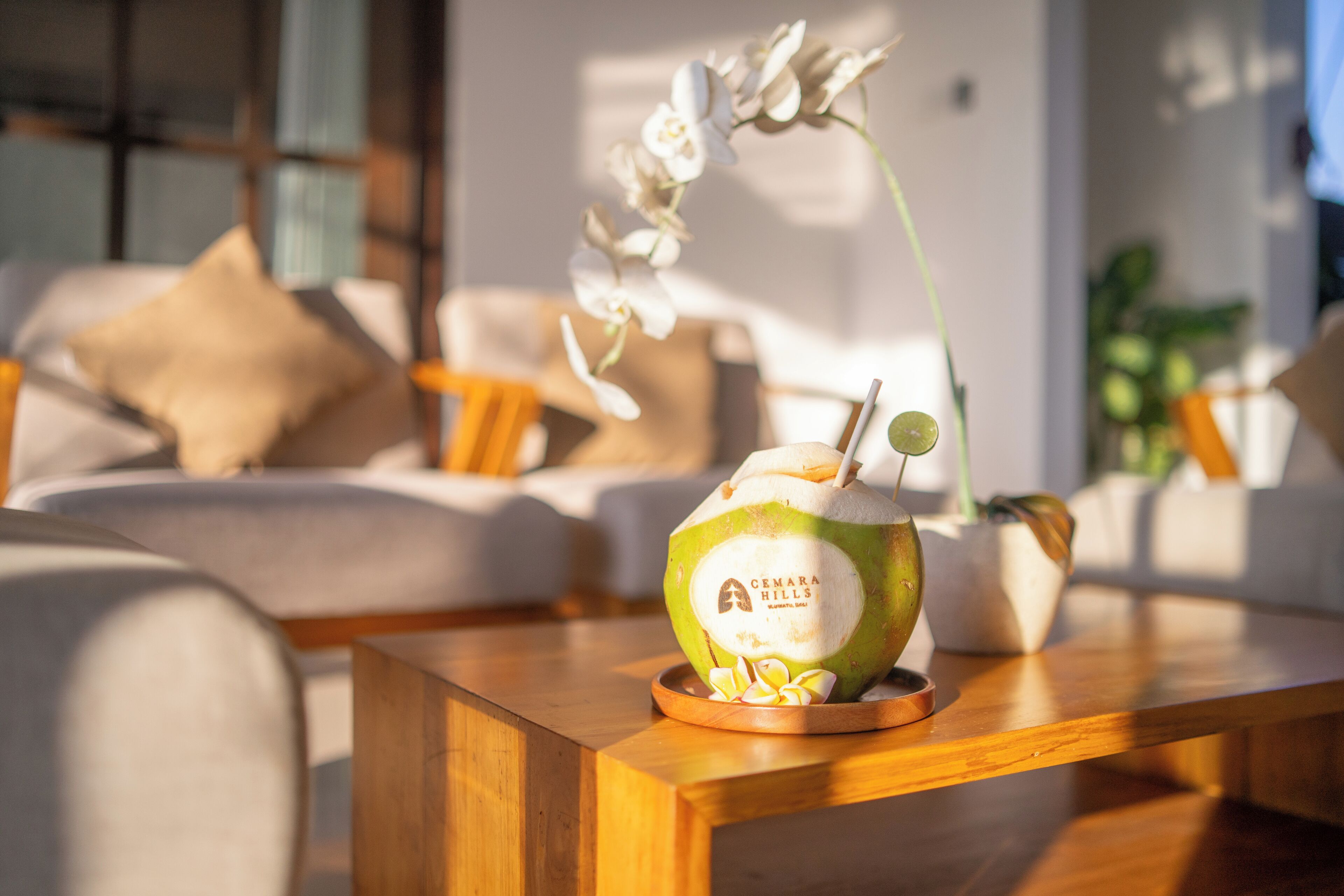 Una mesa de centro de madera con un centro decorativo de coco y una orquídea.