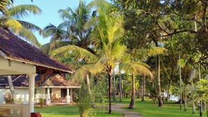 A tropical resort with a covered outdoor seating area, a pathway, and palm trees.