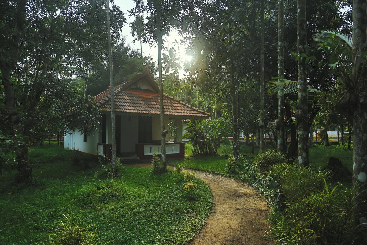 Une petite maison avec un toit en tuiles, entourée d’une végétation luxuriante, et un chemin de terre qui y mène.