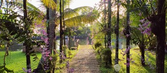 Palmgrove Lake Resort