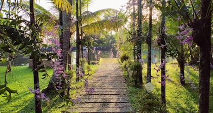 Palmgrove Lake Resort