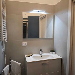 Shower, hair dryer, bidet, towels
