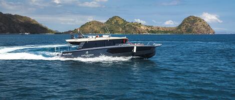 A boat named 'Black Swan' with 'Katamaran' written on the side, moving on a body of water with hills in the background.